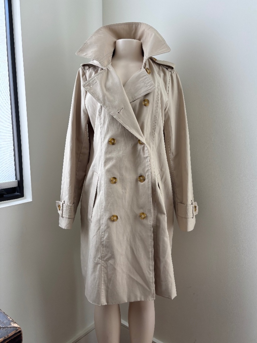 Double Breasted Trench Coat